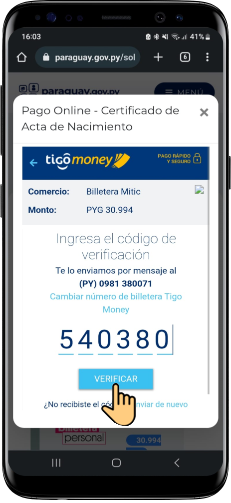 Pago Acta Nac con TM_Paso7.png