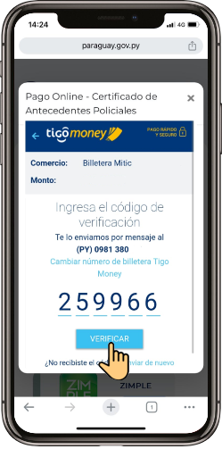 Pago Antecedente Policial TM_6.png